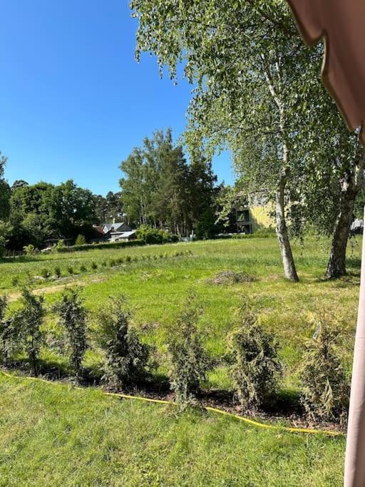 Сasa de vacaciones Melluzi Tiny House 35m2